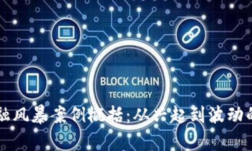 区块链金融风暴案例概括：从兴起到波动的全面解析