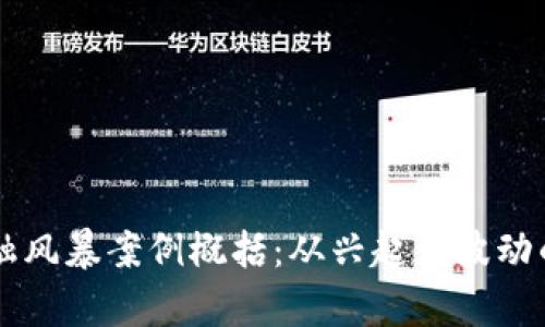 区块链金融风暴案例概括：从兴起到波动的全面解析