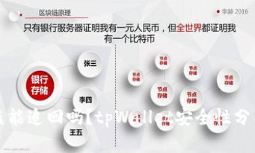 tpWallet被盗能追回吗？tpWallet安全性分析与保护建议